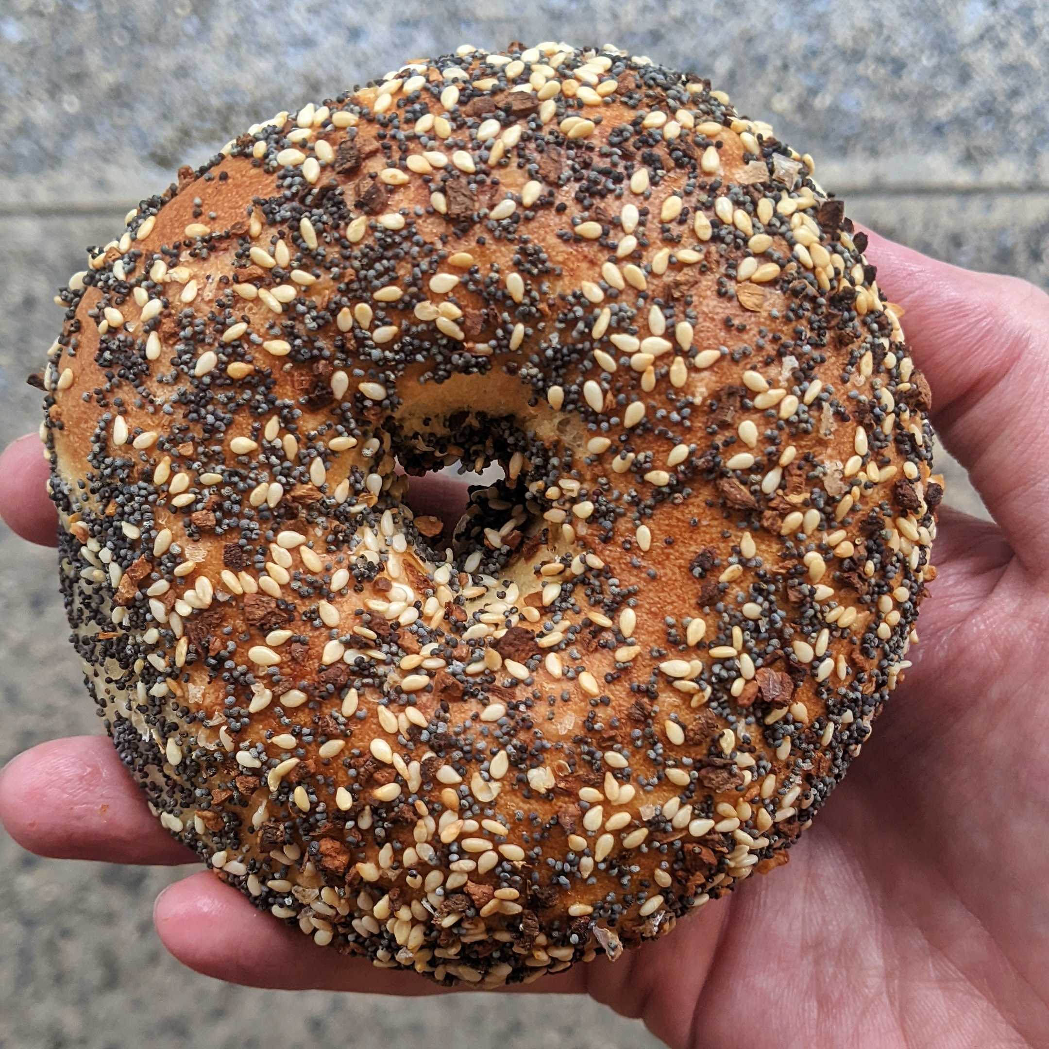 Popup Bagels